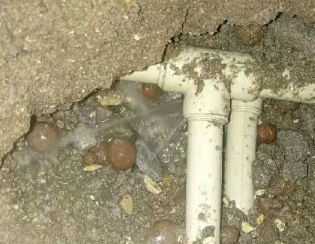横峰卫生间测漏