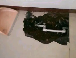 横峰卫生间测漏水多少钱